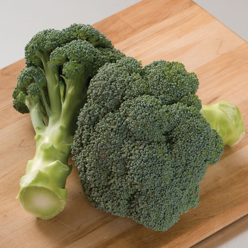 Imperial Broccoli Plant