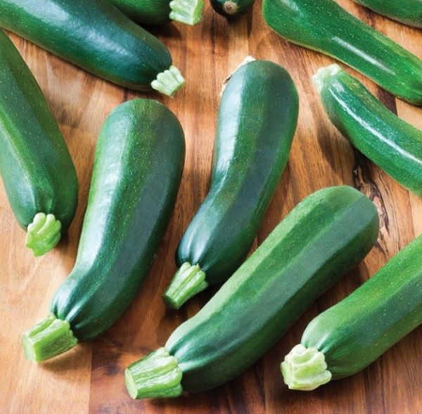 Zucchini Black Beauty Squash Plant