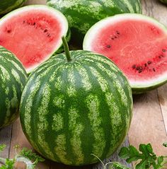 Cal-Sweet Watermelon Plant