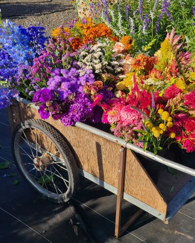 September Flower Subscription (4 bouquets)
