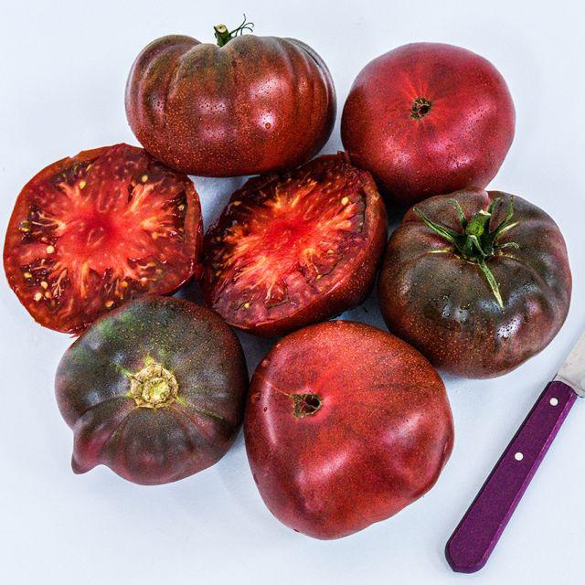 Cherokee Purple Tomato Plant