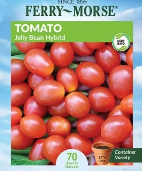 Jelly Bean Tomato
