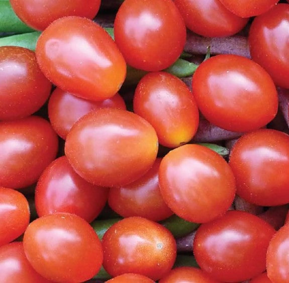 Jelly Bean Tomato