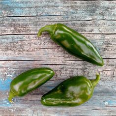 Tam Jalapeno Pepper Plant