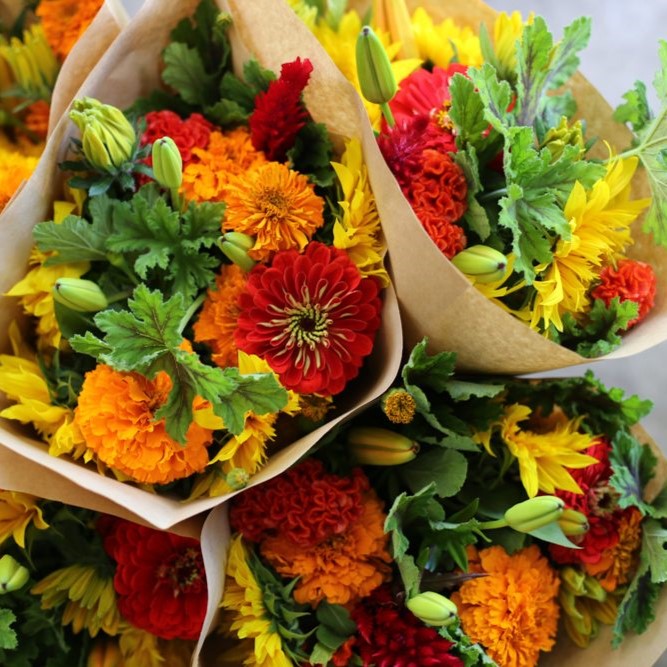 Bi-Weekly Subscription- 5 Bouquets- PICKUP @ FARM