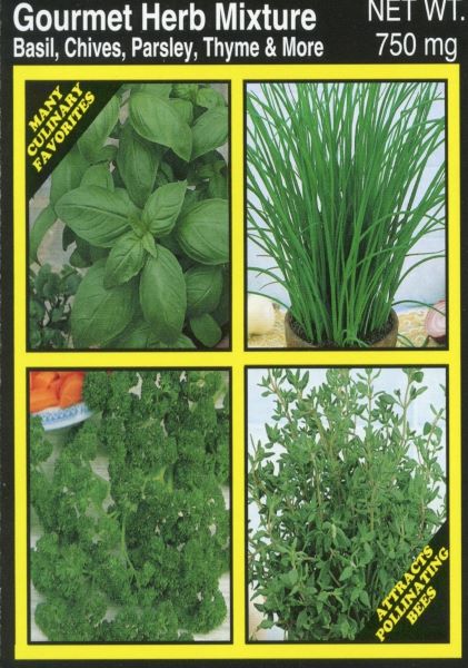Gourmet Herb Mix Plants