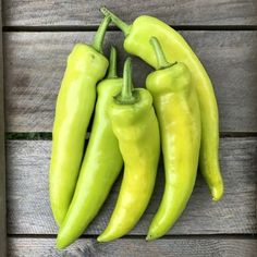 Hungarian Hot Wax Pepper Plant