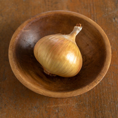 Walla Walla Sweet Onion Plants