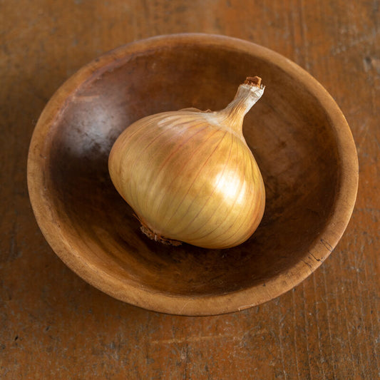 Walla Walla Sweet Onion Plants