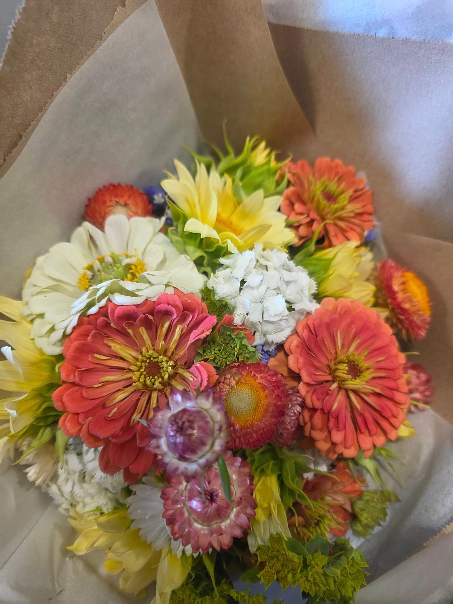 Cut Flower Collection Bundle