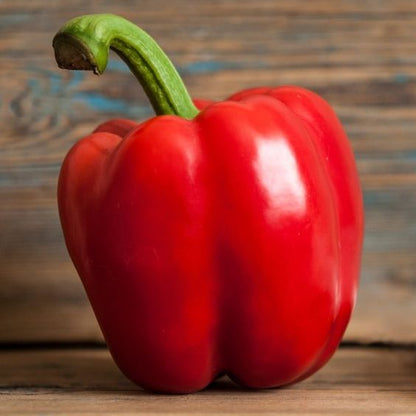 Big Red Bell Pepper Plant