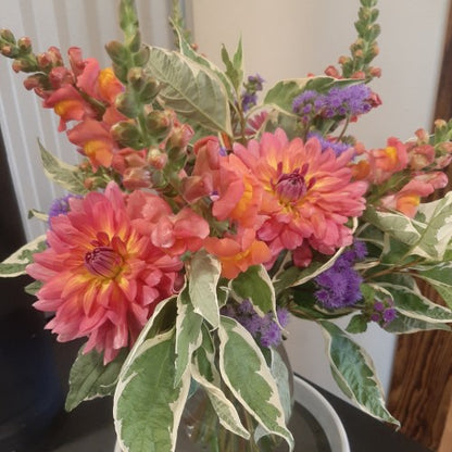 Bi-Weekly Subscription- 5 Bouquets- PICKUP @ FARM