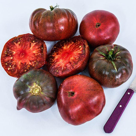 Cherokee Purple Tomato Plant
