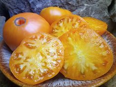 Dr Wyches Yellow Beefsteak Tomato Plant