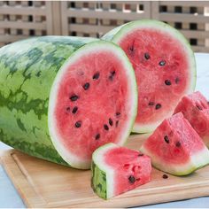 Jubilee Watermelon Plant
