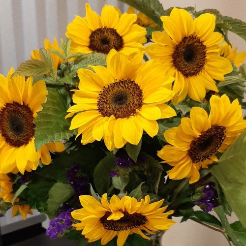 Simply Sunflower Subscription (Coming Soon!)