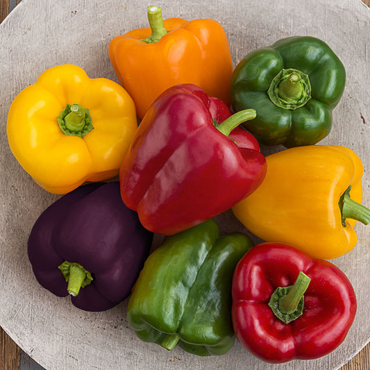 Sweet Bell Pepper Mix Plant