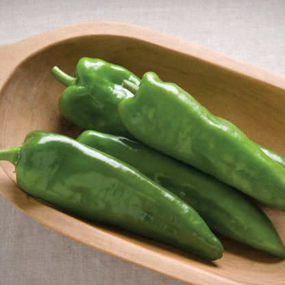 Anaheim Pepper Plant