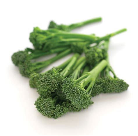 Aspabroc Broccoli Plant