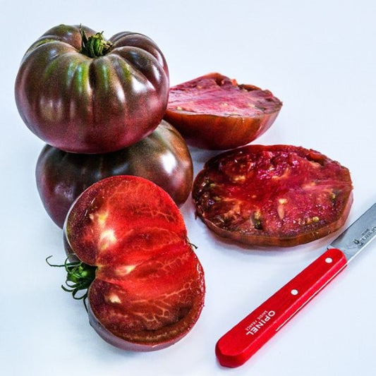 Brandywine Black Tomato Plant
