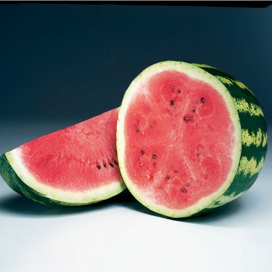 Crimson Sweet Watermelon Plant