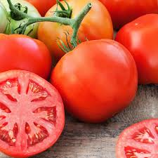Delicious Tomato Plant
