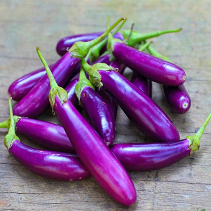 Slim Jim Eggplant Plant