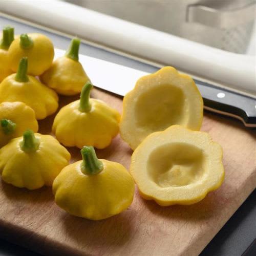 Lemon Sun Pattypan Squash Plant
