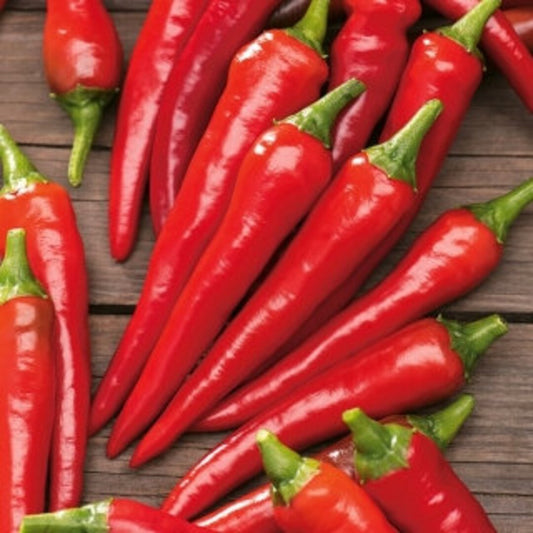 Long Red Cayenne Pepper