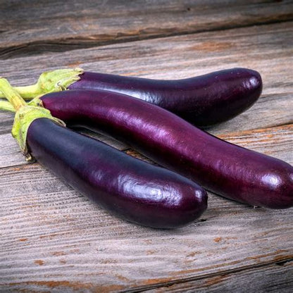 Slim Jim Eggplant Plant